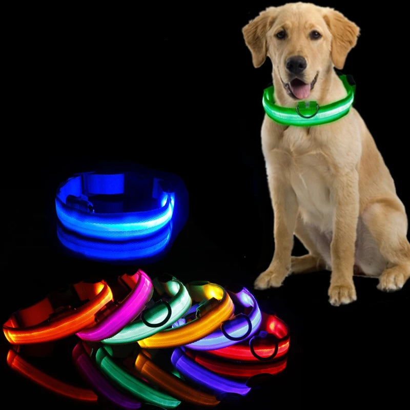 GlowPaw™ LED Sicherheits-Halsband