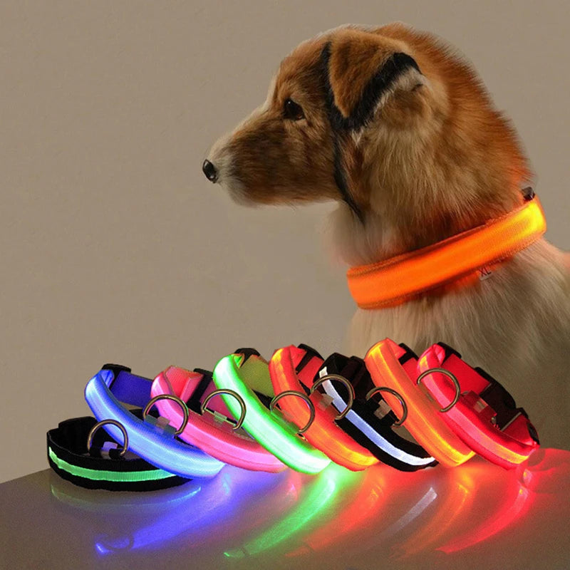 GlowPaw™ LED Sicherheits-Halsband