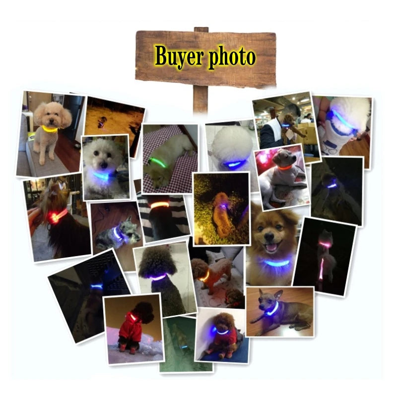GlowPaw™ LED Sicherheits-Halsband