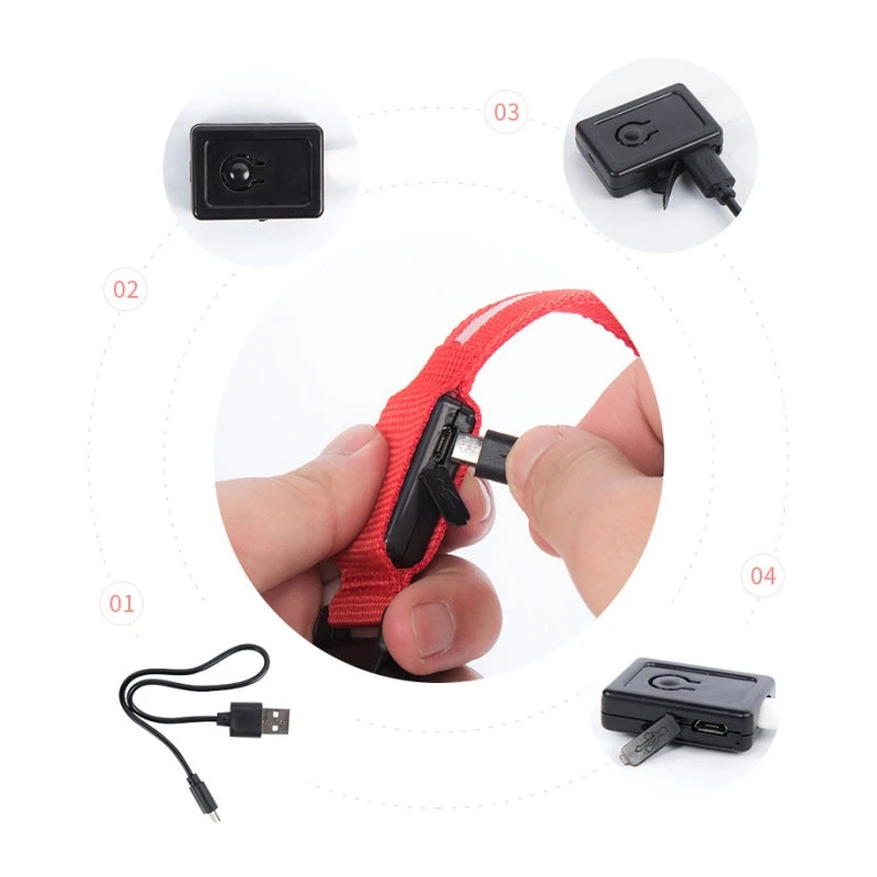 GlowPaw™ LED Sicherheits-Halsband