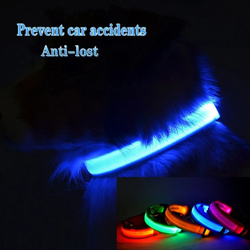 GlowPaw™ LED Sicherheits-Halsband